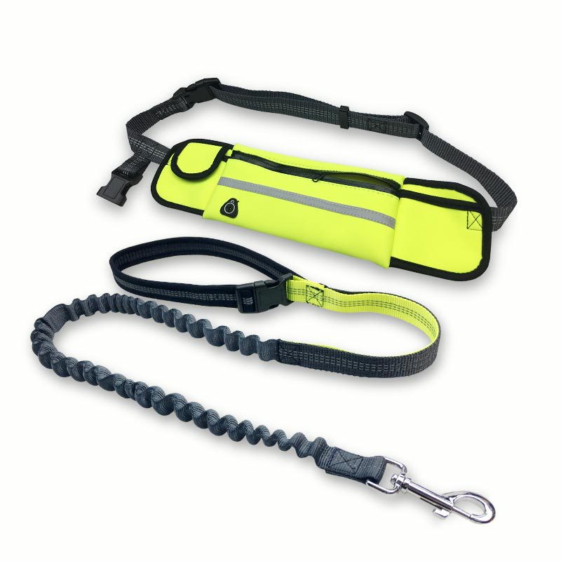 Hands-Free Dog Running Leash – Bungee Waist Belt
