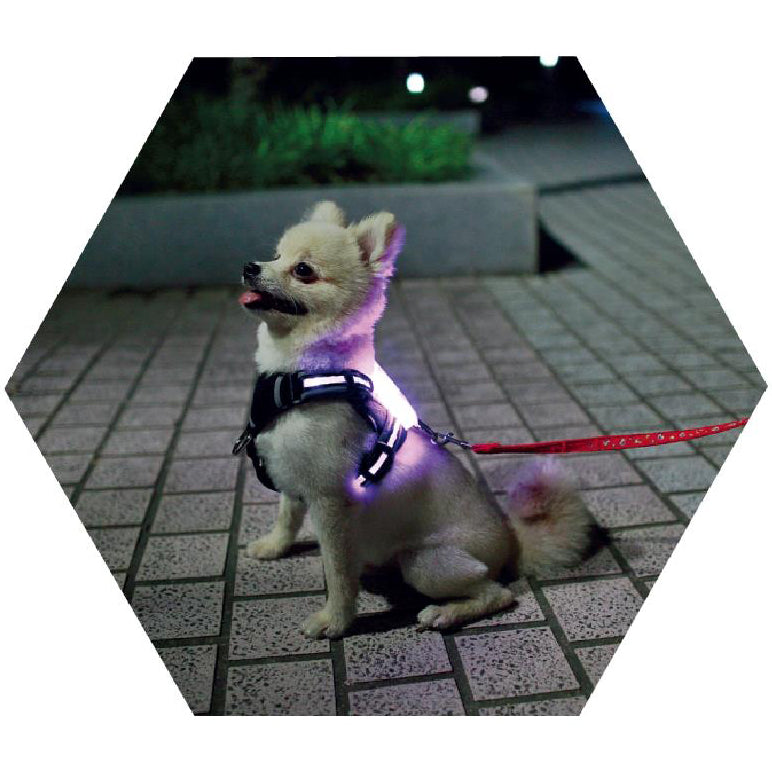 Led Pet Dog Luminous Collar Usb Rechargeable Silicone Collar Luminous