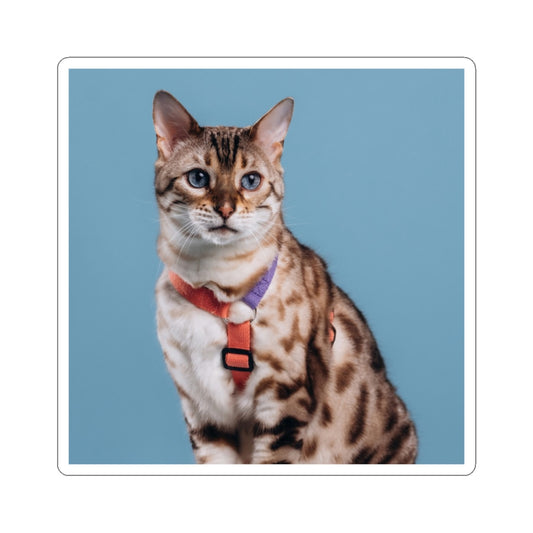 Cat Stickers for your Laptop