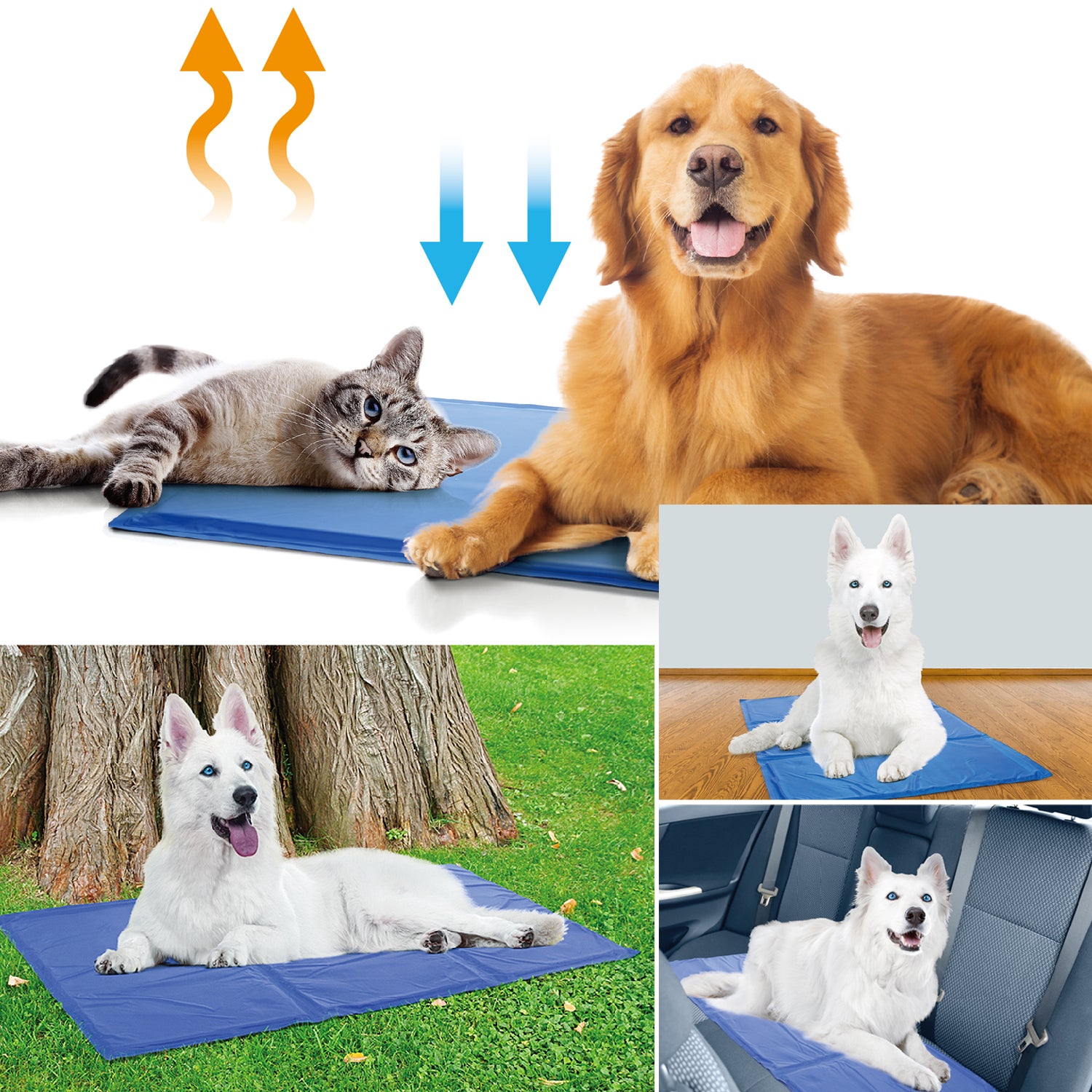 Dog Cooling Mat Pet Ice Pad Teddy Mattress Pet Cool Mat Bed Cat Cushion