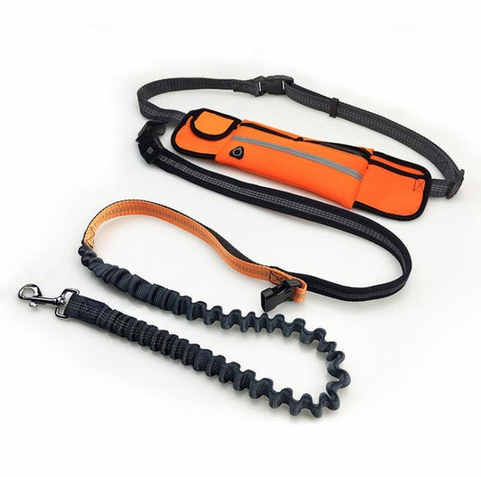 Hands-Free Dog Running Leash – Bungee Waist Belt