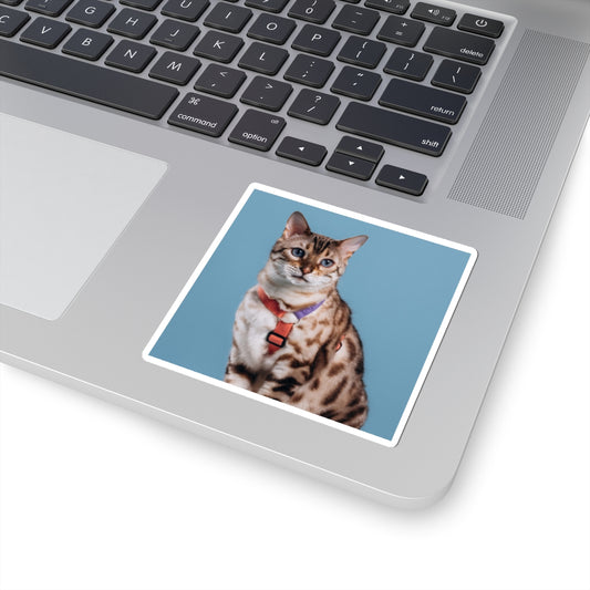 Cat Stickers for your Laptop
