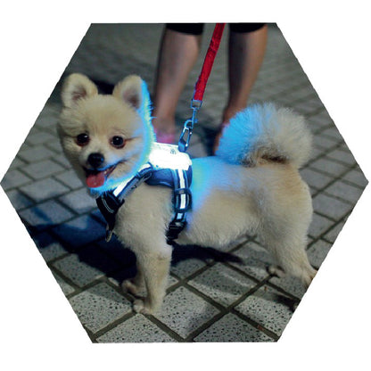 Led Pet Dog Luminous Collar Usb Rechargeable Silicone Collar Luminous