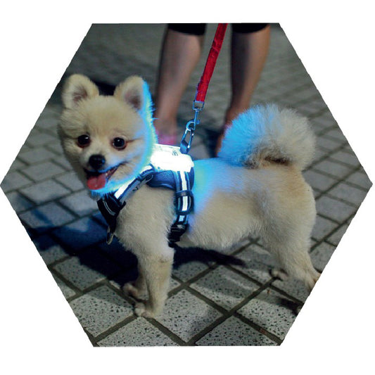 Led Pet Dog Luminous Collar Usb Rechargeable Silicone Collar Luminous