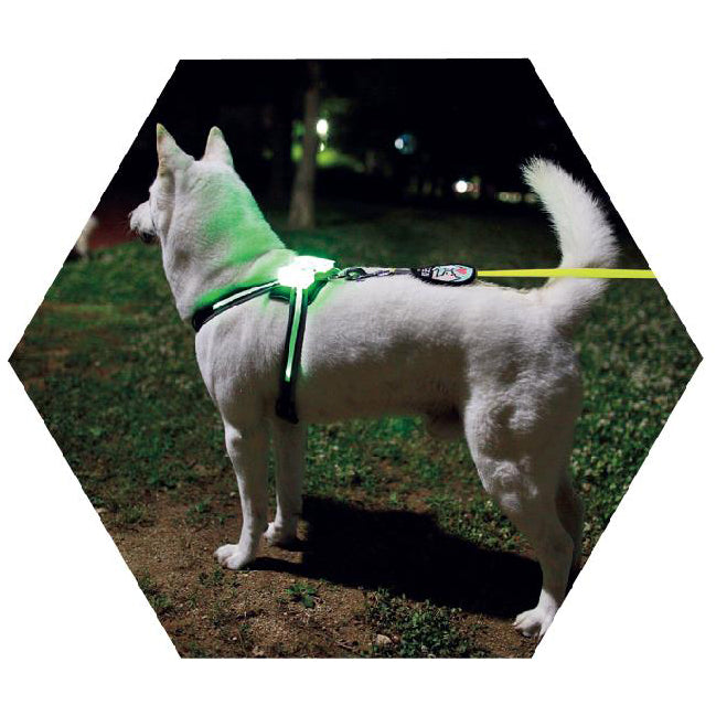 Led Pet Dog Luminous Collar Usb Rechargeable Silicone Collar Luminous