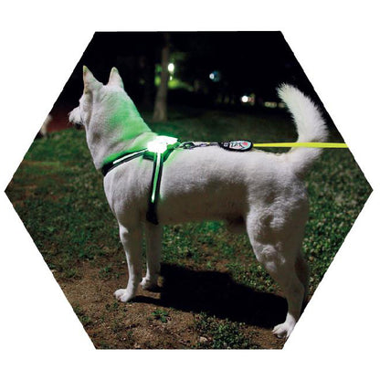 Led Pet Dog Luminous Collar Usb Rechargeable Silicone Collar Luminous