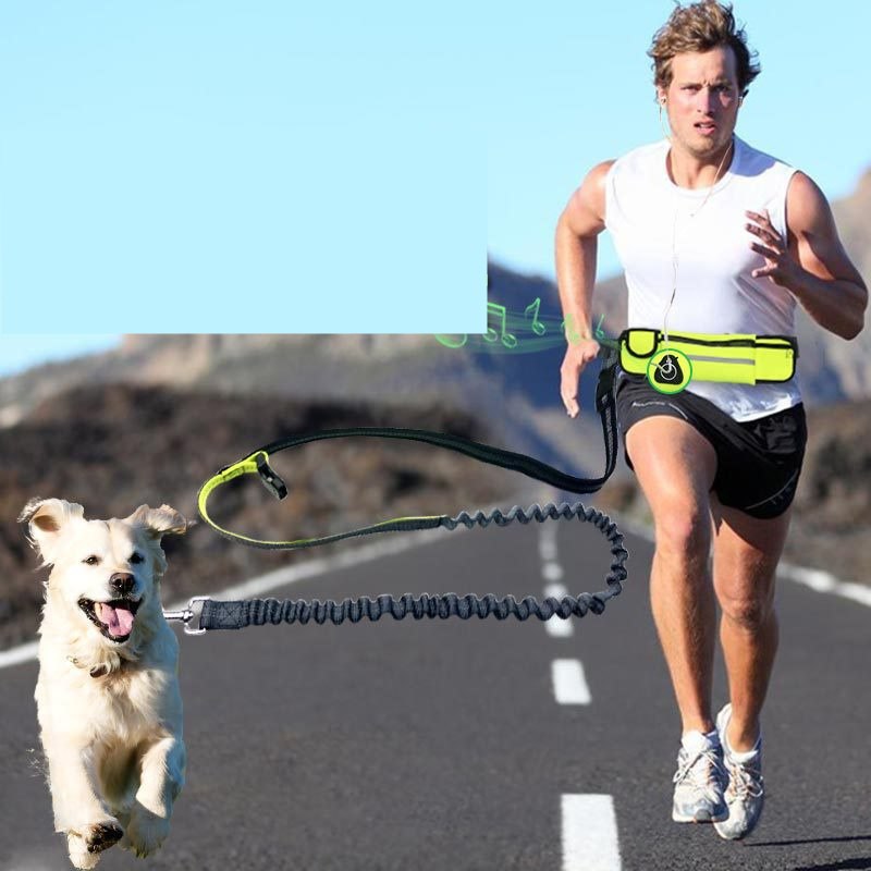 Hands-Free Dog Running Leash – Bungee Waist Belt