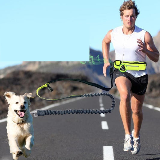 Hands-Free Dog Running Leash – Bungee Waist Belt