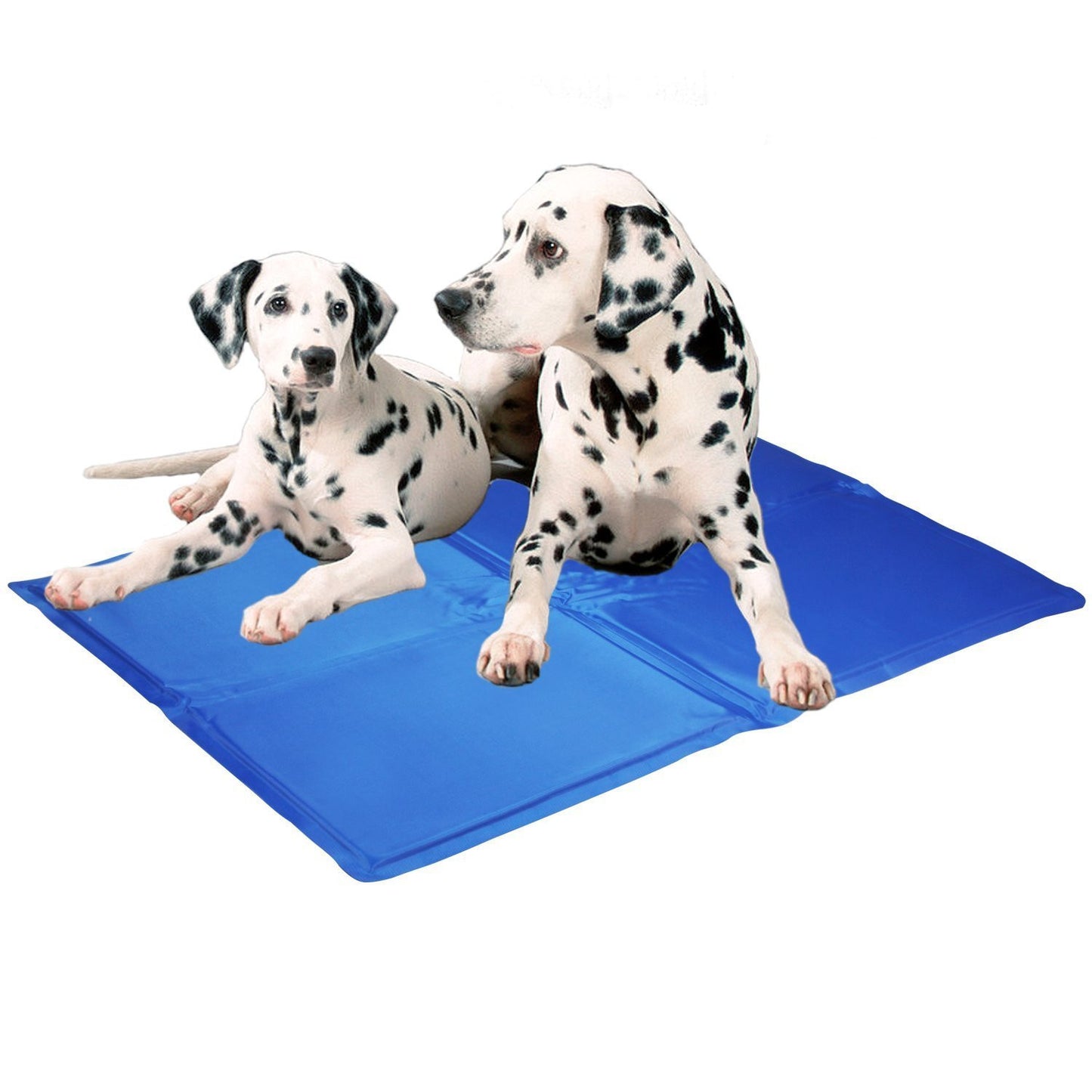 Dog Cooling Mat Pet Ice Pad Teddy Mattress Pet Cool Mat Bed Cat Cushion