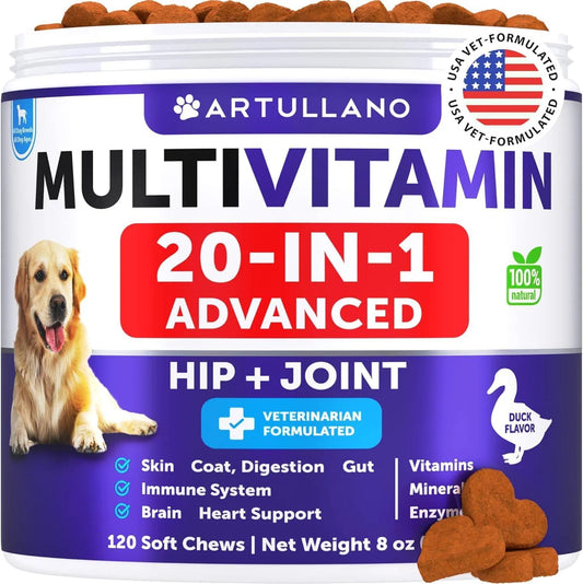 Dog Multivitamin Chewable With Glucosamine 20 In 1 Dog Vitamins And Supplements