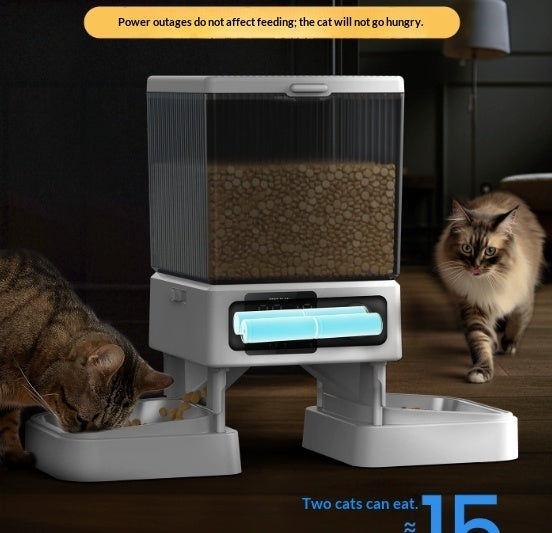 Smart Automatic Cat Feeder, Dual Bowl Timer Dispenser